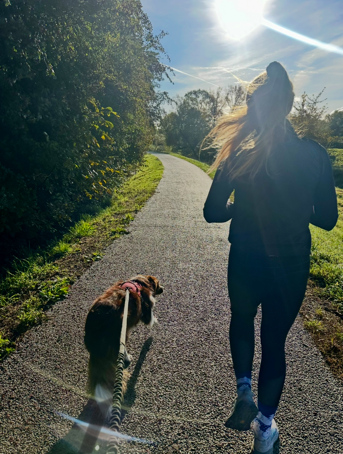 Półmaraton Królewski w Krakowie – wielkie emocje i sportowe sukcesy!